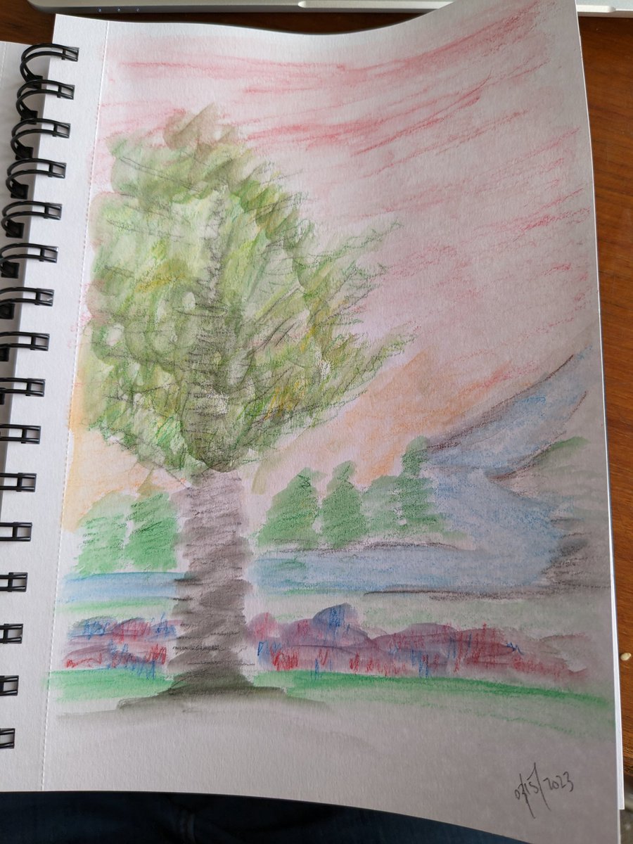Sunset birch tree

#watercolors #treepainting #breaktime