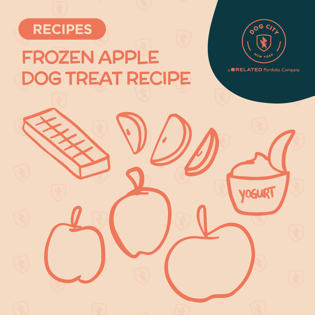 DogCityNYC's tweet image. dogcitynyc.com/frozen-apple-t…

#dogblog #dogcitynyc #dogdaycare #dogwalking #doggrooming #dogboarding #dogtransportation