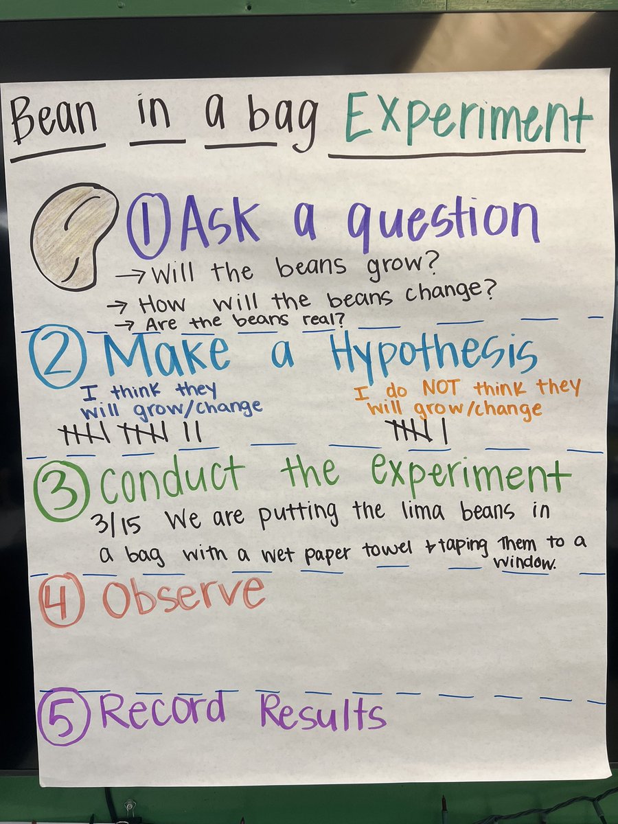 KGibson2022's tweet photo. In kindergarten we started the bean in a bag experiment today! We are learning about living and non living things, as well as everything plants need to grow and survive. We planted our beans will observe them over the next few weeks! @9thDistVikings #kindergarten #science https://t.co/db23N8uixM