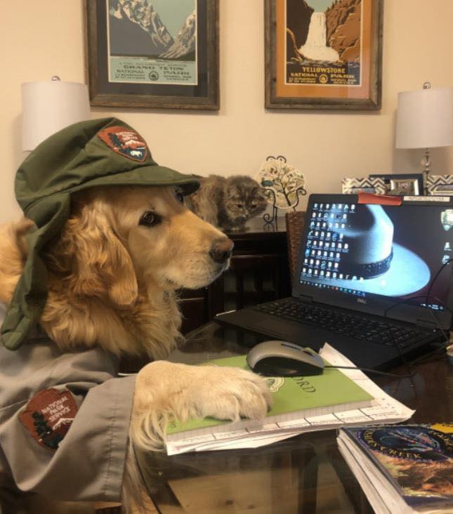 NatlParkService's tweet photo. @I_ShippedMyBed https://t.co/cpekoyQSAr