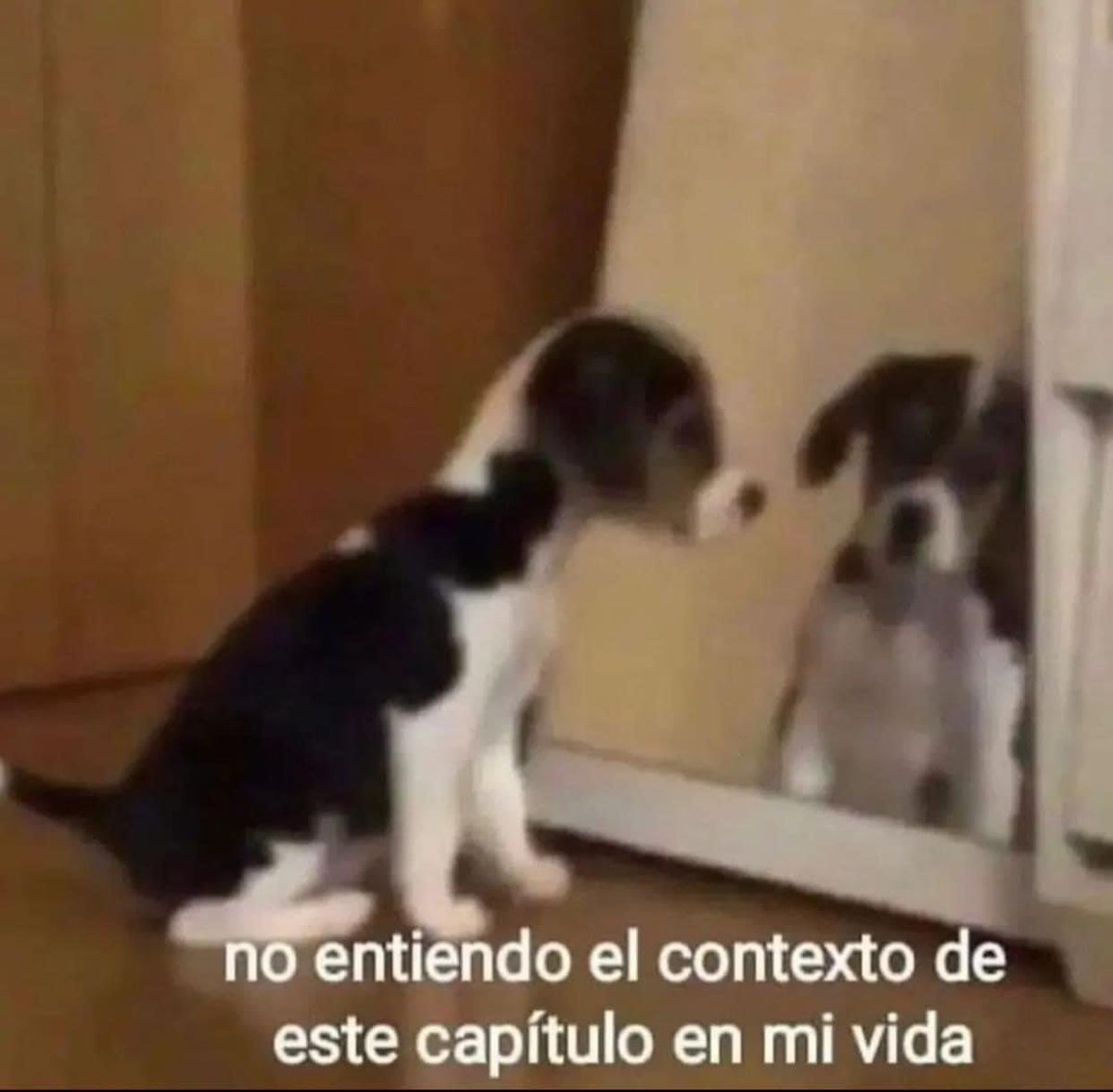 yo en las madrugadas analizando mi vida: