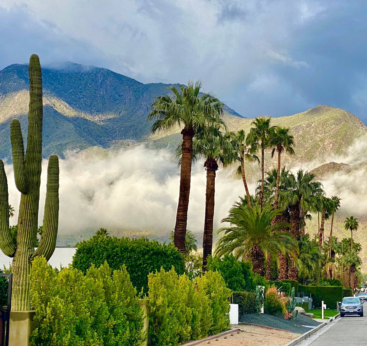 Palm Springs looks a lot like Kauai this morning 🌈 <a href="/NWSSanDiego/">NWS San Diego</a>