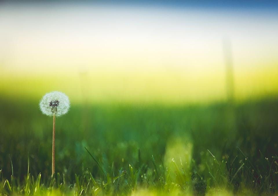 UoN Counselling (@uonucs) on Twitter photo Breathe Here Now for Staff and Students - Hybrid session - Tues 21 March 23 @ 1 - 1.30pm
This is a lunchtime meditation session to help you switch off and unwind. No previous experience is necessary.
eventbrite.co.uk/e/breathe-here…
<a href="/UonResX/">Uni of Nottingham Residential Experience</a> <a href="/UoNStudentLife/">UoN Student Life #WeAreUoN</a> <a href="/UoNSU/">University of Nottingham Students' Union</a> <a href="/UniofNottingham/">Uni of Nottingham #WeAreUoN</a> Breathe Here Now for Staff and Students - Hybrid session - Tues 21 March 23 @ 1 - 1.30pm
This is a lunchtime meditation session to help you switch off and unwind. No previous experience is necessary.
eventbrite.co.uk/e/breathe-here…
<a href="/UonResX/">Uni of Nottingham Residential Experience</a> <a href="/UoNStudentLife/">UoN Student Life #WeAreUoN</a> <a href="/UoNSU/">University of Nottingham Students' Union</a> <a href="/UniofNottingham/">Uni of Nottingham #WeAreUoN</a>