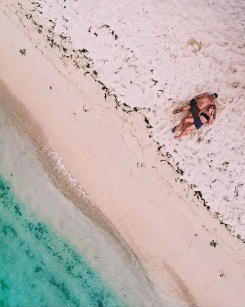 RiuHoteles's tweet photo. 🌴 Ven a descubrir el mejor santuario para el alma: Riu Creole (Mauricio) 📍https://t.co/IVUuy0oyD6
📷: IG "sarah.sven_weltreise"
#riucreole #islasmauricio https://t.co/IloQmR5w3I