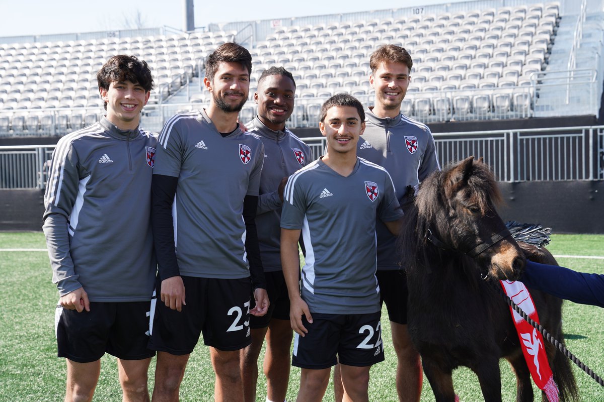 LoudounUnitedFC's tweet image. Fans will then have until March 30 to vote on their favorite name. The winning mascot name will be revealed on April 1!

#LoudAndUnited ✘ @LoudounPegasus