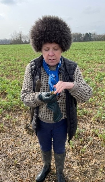 Sarah Hurry tweet media