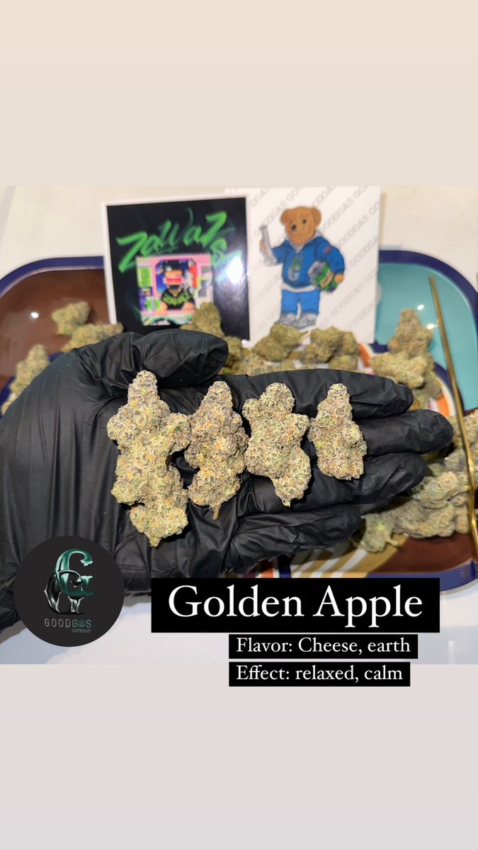 Goodgasth's tweet photo. - Golden Apple 🧀
ส่งด่วนกทม แอดเลยมีกลุ่มเช็คเครดิต👇🏻
https://t.co/DfCO449omb

#bkkweed #bangkokweed 
#กัญชาออแกนิค #กัญชาog #กัญชาออแกรนิค #420thailand #thaiweed #กัญชานอก #weedimport #กัญชารังสิต https://t.co/KG5KP1fQlW