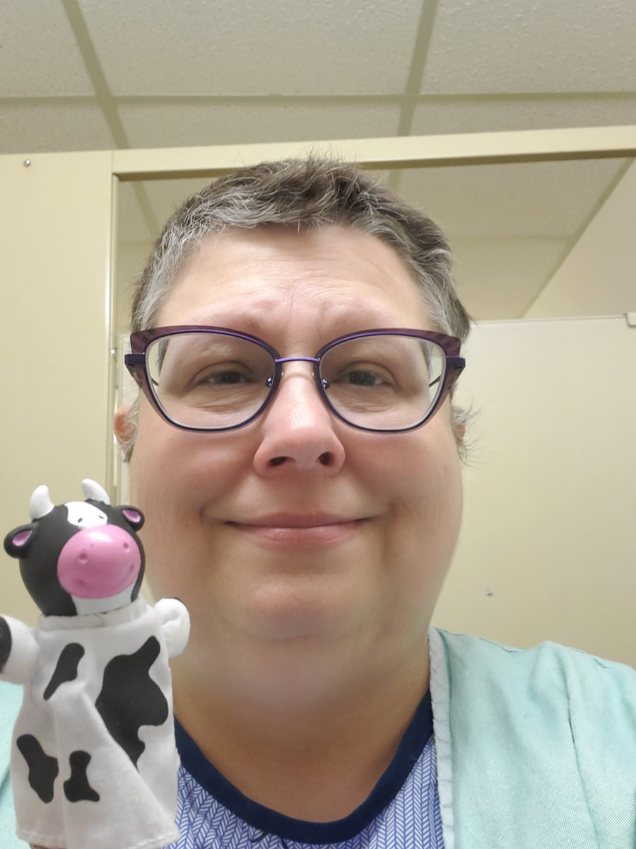 Chemoo the Chemootherapy Cow tweet media