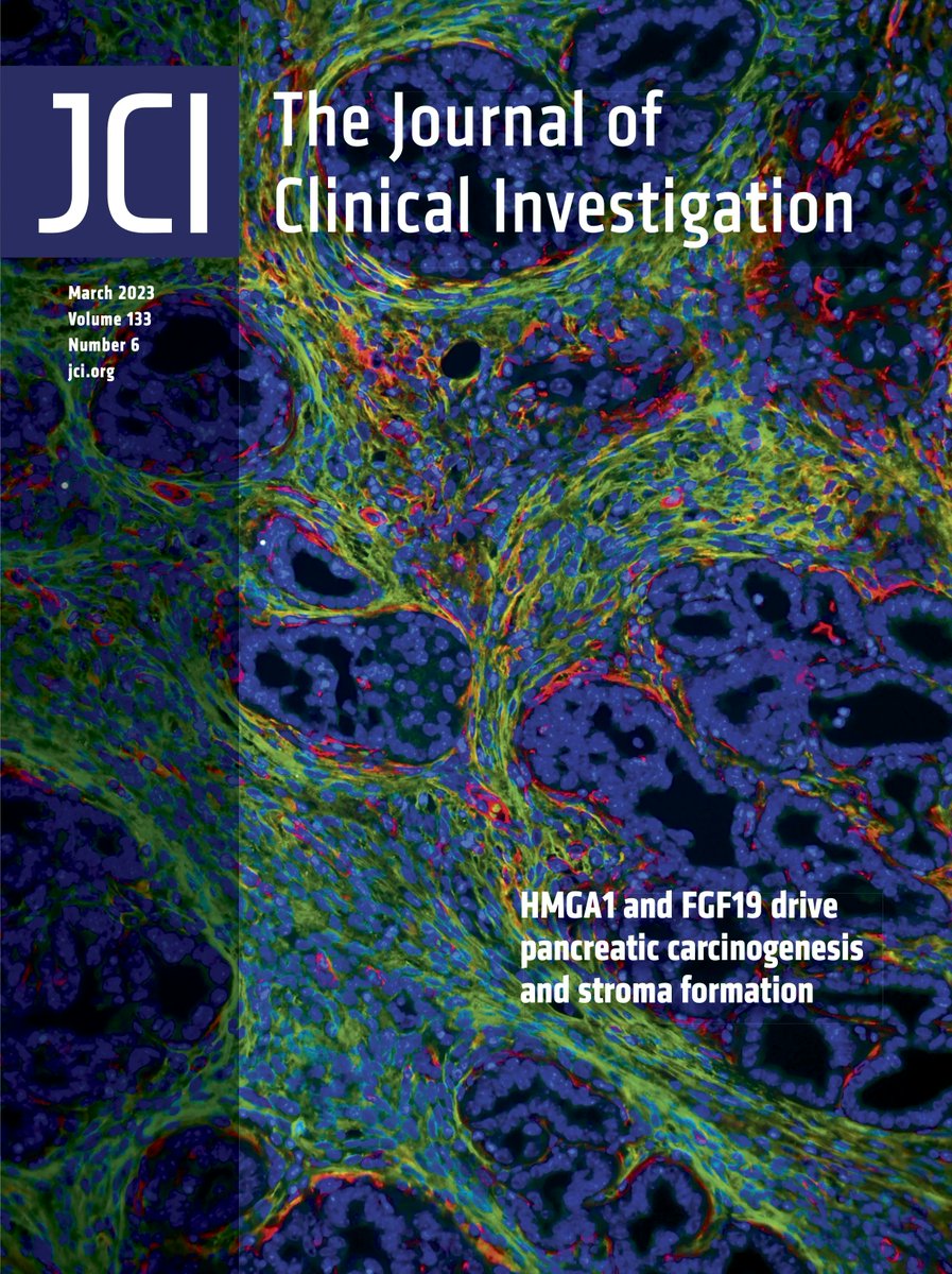 Journal of Clinical Investigation (@jclinicalinvest) on Twitter photo #Cover: HMGA1 drives pancreatic tumorigenesis and stroma formation via FGF19: buff.ly/3JdlhSD
Image: dense desmoplastic stroma within pancreatic tumor from KPC Hmga1+/+ mouse; podoplanin-green, α-smooth muscle actin-red, DAPI-blue
<a href="/LindaResar/">Linda Resar</a> <a href="/HopkinsMedicine/">Johns Hopkins Medicine</a>
#Oncology #Cover: HMGA1 drives pancreatic tumorigenesis and stroma formation via FGF19: buff.ly/3JdlhSD
Image: dense desmoplastic stroma within pancreatic tumor from KPC Hmga1+/+ mouse; podoplanin-green, α-smooth muscle actin-red, DAPI-blue
<a href="/LindaResar/">Linda Resar</a> <a href="/HopkinsMedicine/">Johns Hopkins Medicine</a>
#Oncology