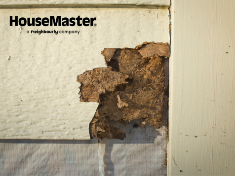 HouseMasterEdm's tweet photo. Termites can do significant damage to homes, and they often go unnoticed by homeowners until extensive damage is done. If you live in an area where termites thrive, have a professional termite inspection done annually.

 #TermiteAwarenessWeek #termiteweek #WDO #homeinspection https://t.co/m7fypmlxjV