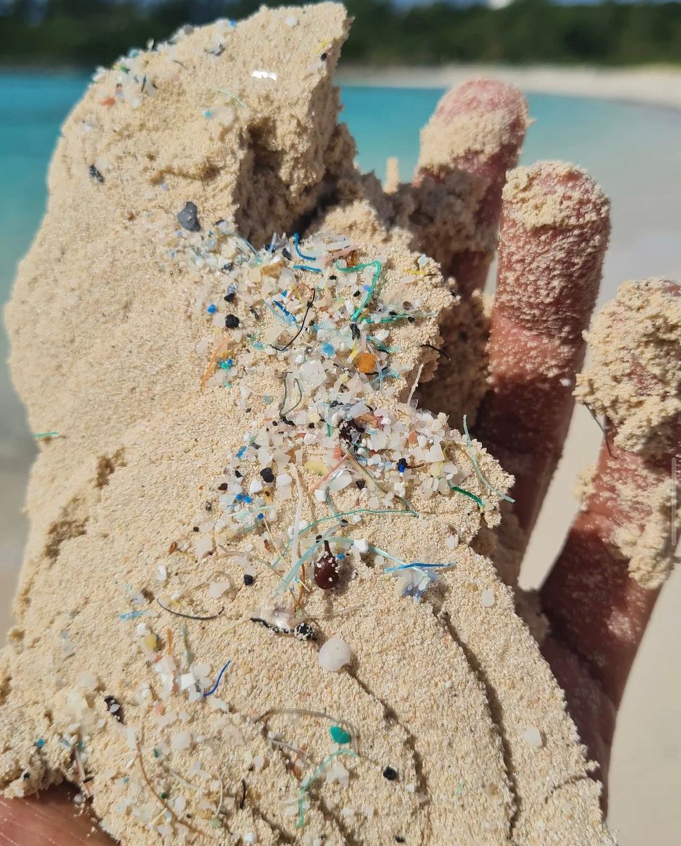 5gyres's tweet image. “Plastic confetti” captured by #5gyresambassador, @WeldonWade, on his island home of Bermuda. 

A good visual for what we dubbed #PlasticSmog — 171 trillion plastic particles infiltrating our seas, as our latest research revealed.

📸: @WeldonWade