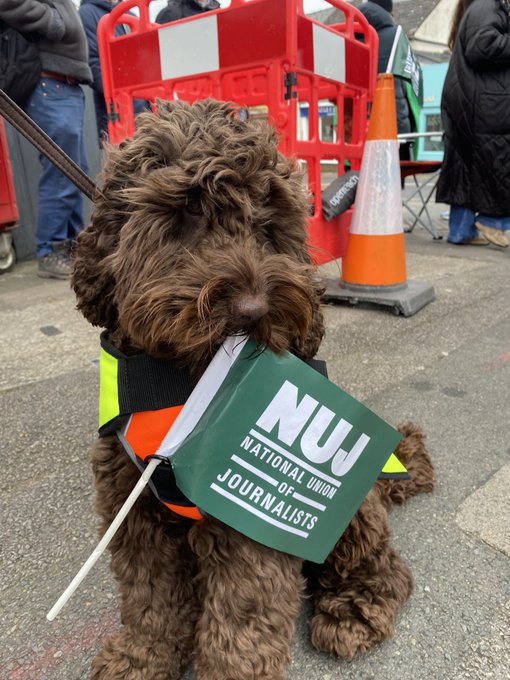 NUJofficial's tweet photo. #NUJ members on strike in Wiltshire ✊✊✊
#NUJBBCStrike #KeepBBCLocalRadioLocal https://t.co/o7IZjEF9ZT