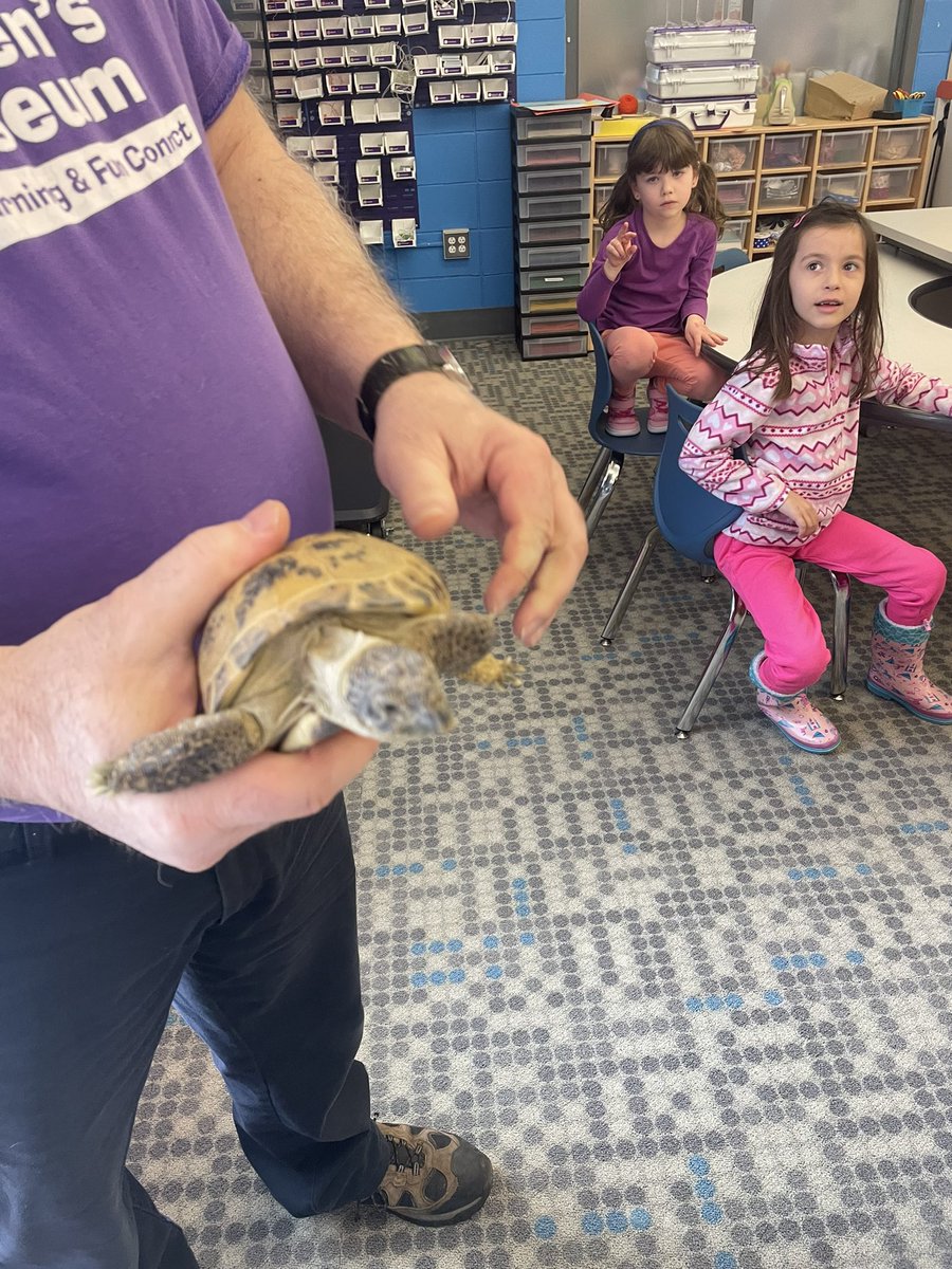 Brie Malone tweet media