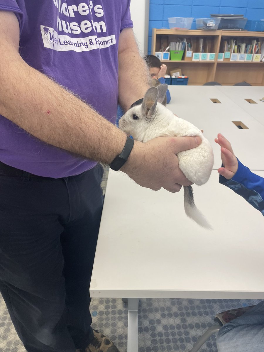 Brie Malone tweet media