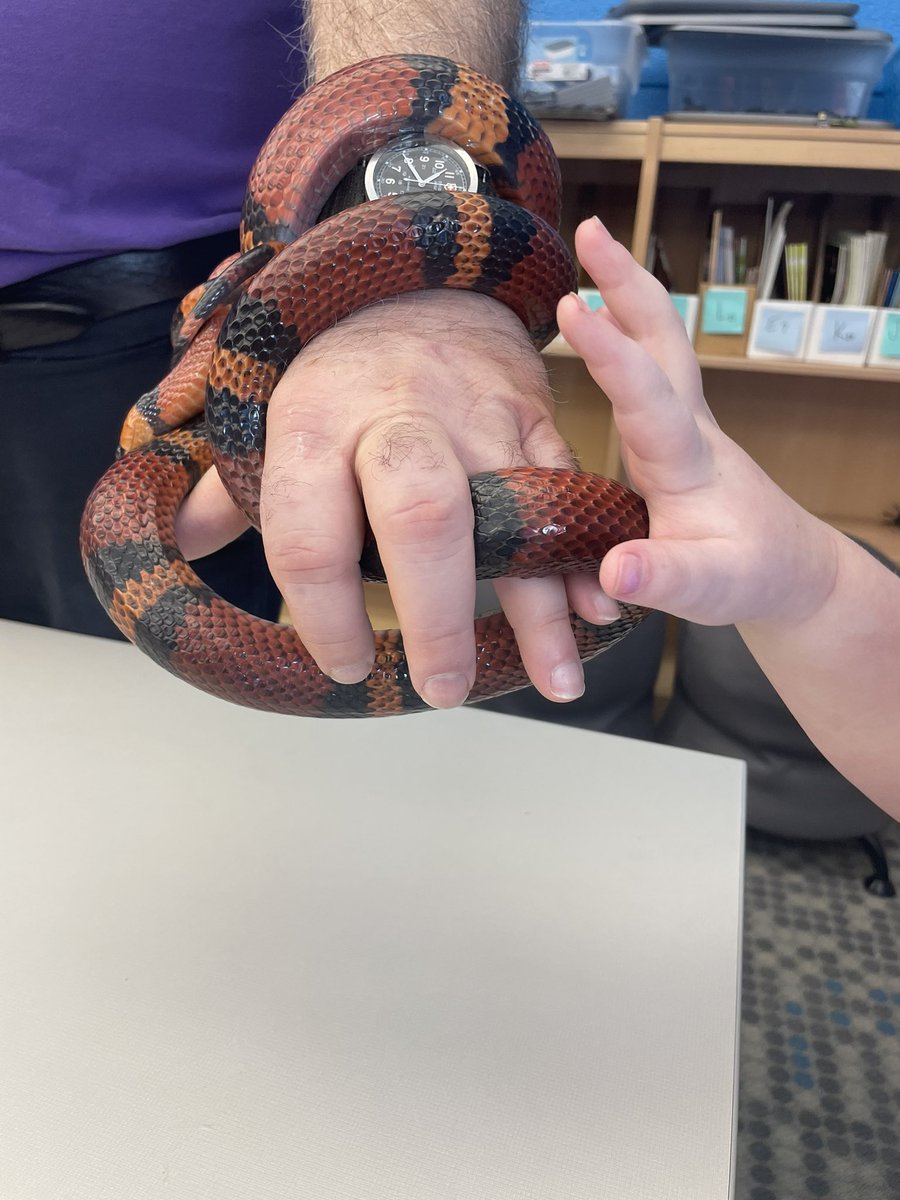 Brie Malone tweet media