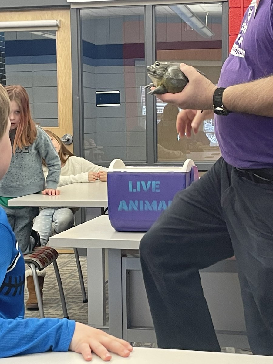 Brie Malone tweet media