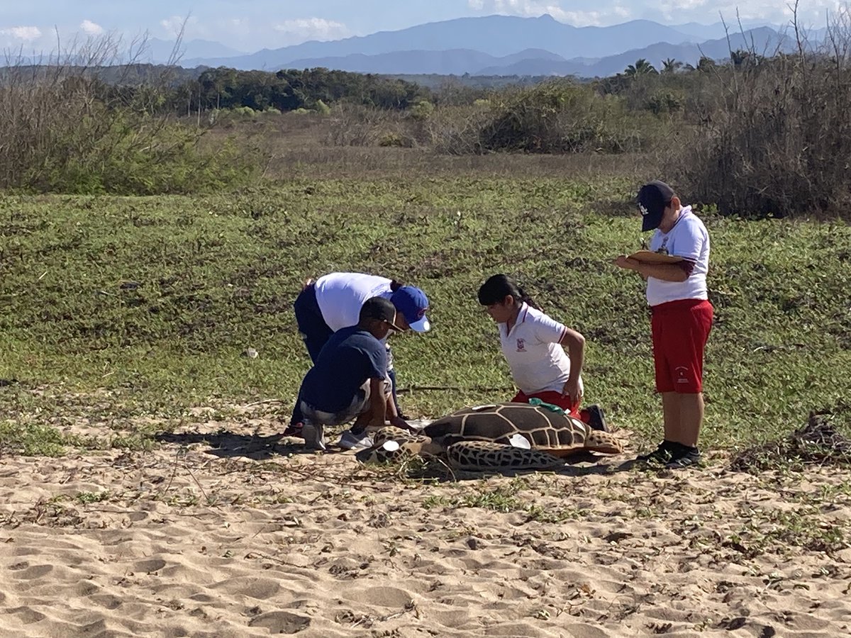 OceanConnectors's tweet image. Our Mexico education program is creating awareness among students to make conservation a true path for the state by empowering them with tools and opportunities to learn about marine science and conservation. 

#BeAnOceanConnector #marineconservation #oceanconservation #Mexico