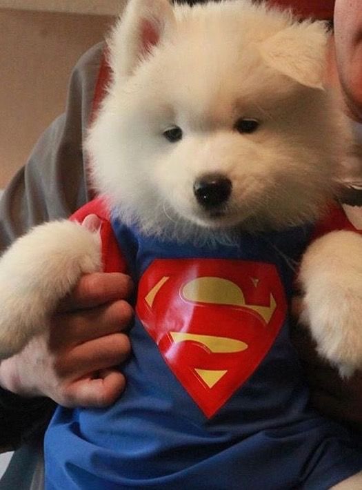 dogonboo's tweet photo. จาไปกู้โลกแล้ว รอพี่ก่อนนะ https://t.co/1Xqppavoxd