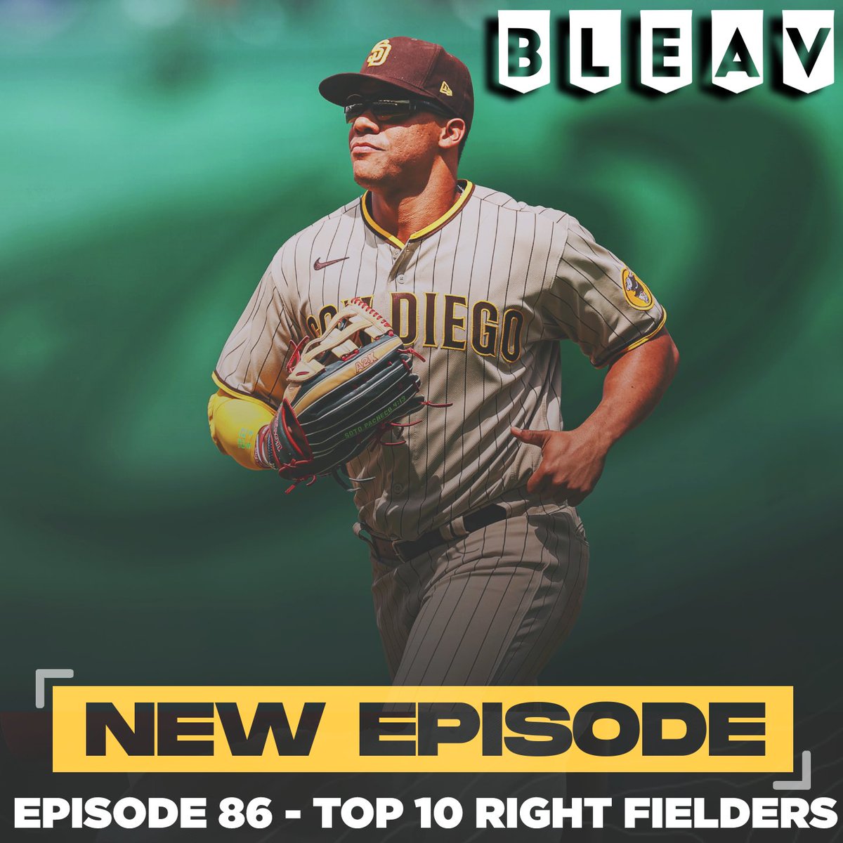 A Drive Into Deep Left Field Podcast tweet media