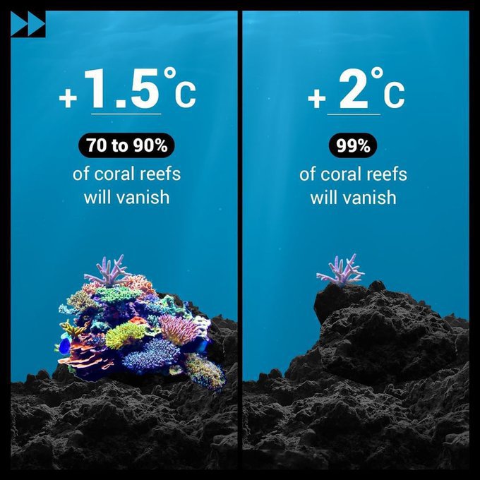 If average global temperatures increased by 2°C, coral reefs would almost completely disappear. But it is still possible to limit global warming to 1.5°C with rapid & deep emissions reductions. We must #ActNow to take #ClimateAction & protect our future.