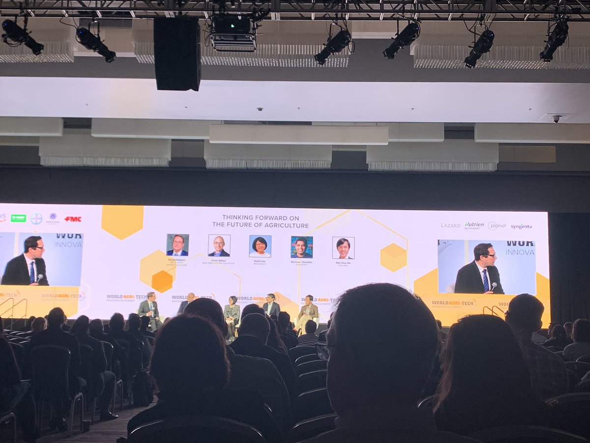 Phoebe Stephens tweet media