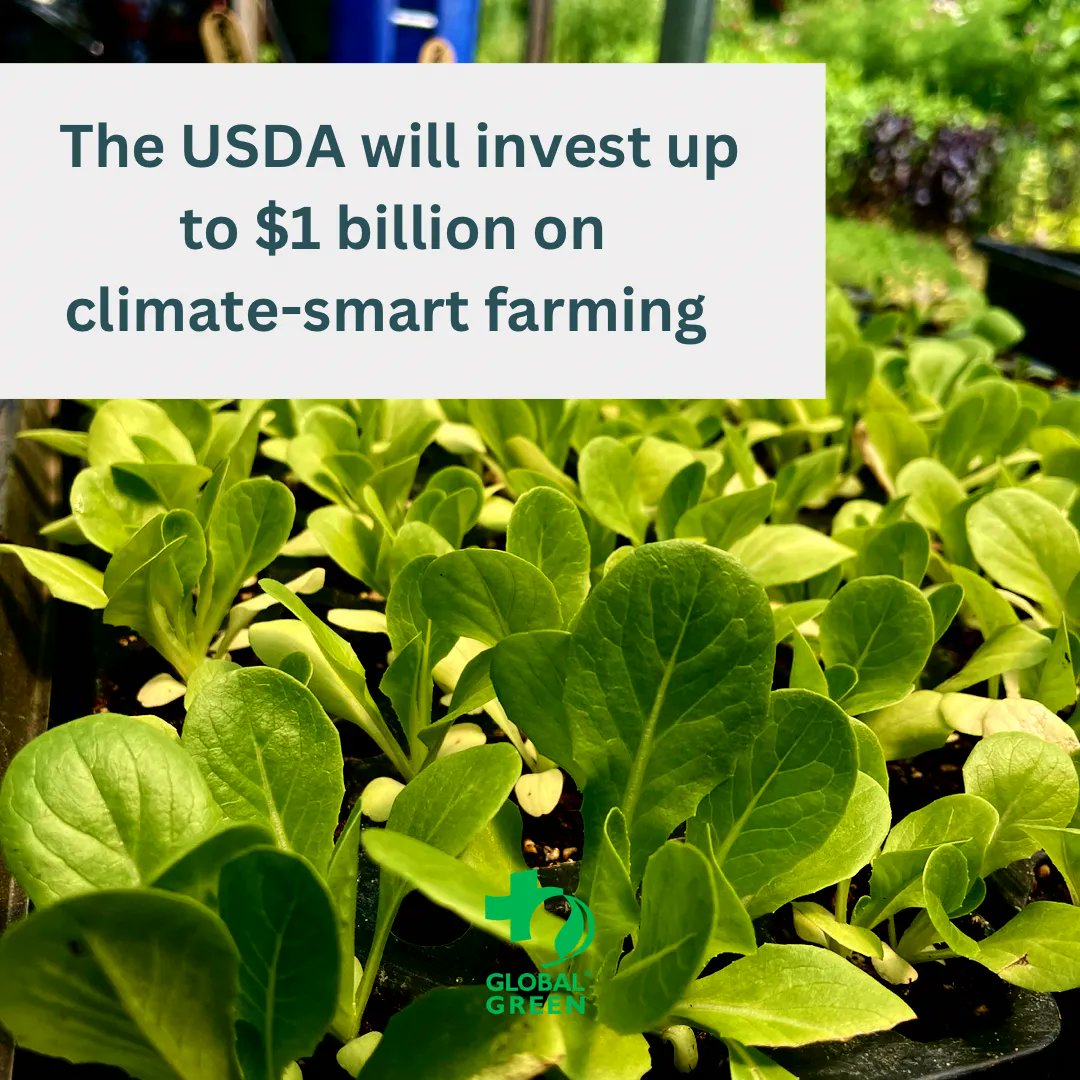 This grant from the United States Department of Agriculture will focus on biodiversity and and regenerate farming. How? By promoting:
👩‍🌾 healthy soil 
👩‍🌾 native plants 
👩‍🌾 healthy waterways 
👩‍🌾 plant diversity 

#peopleplacesandtheplanet #biodiversity #diverseplants