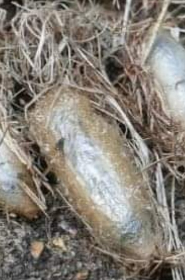 Carole9073's tweet image. Have you seen this🤔? #WCI has! What's going on? 
Questions? Call them! 317-939-1700 
#windows #windowsills #windowquestions 
mgnv.org/beneficial-ins…