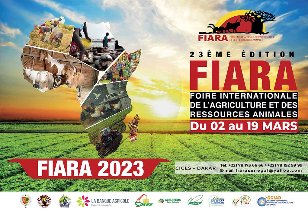 koomfm's tweet photo. 23ème édition de la FIARA : Bilan en demi-teinte, selon les exposants... https://t.co/yE4NkDNVk5 #Economie #commerce #Senegal #Dakar #kebetu #team221 #sununet https://t.co/cXXFjhg2sL