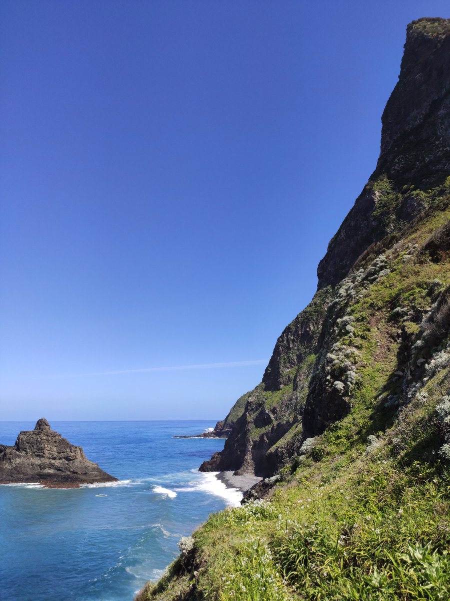 MadeiraOcean's tweet image. Today is a glorious day.