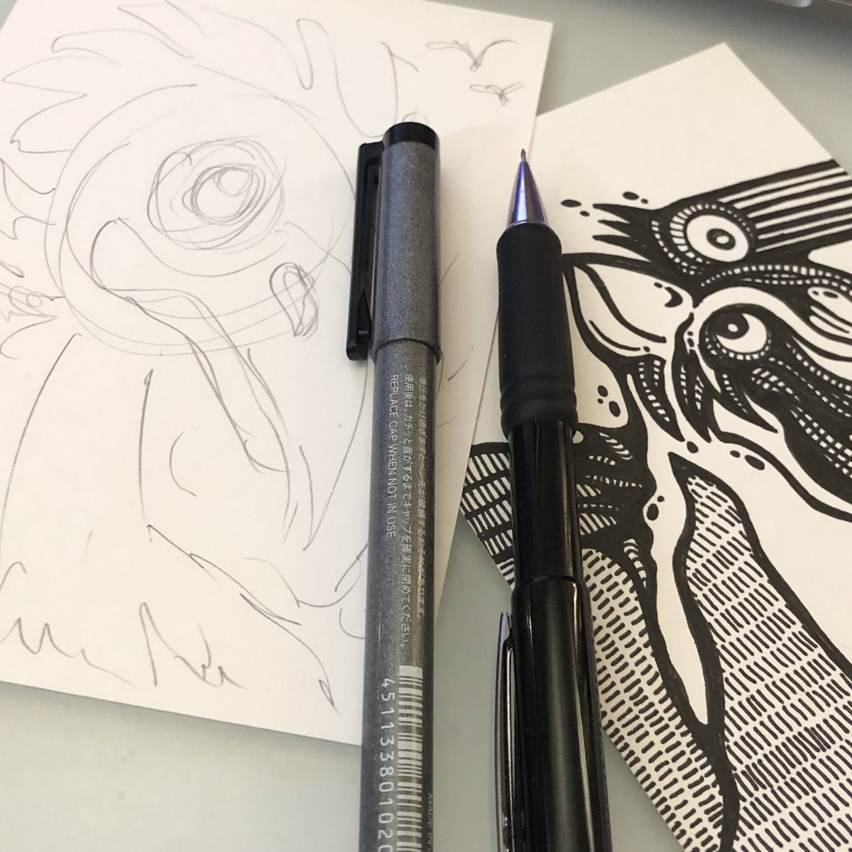 tenebrini's tweet photo. Burd stuff. https://t.co/eWzpyLcBWY
