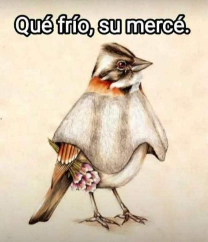 nacional_memes's tweet photo. Abro hilo de palabras o frases icónicas de Colombia: https://t.co/sTGbvxRDXd
