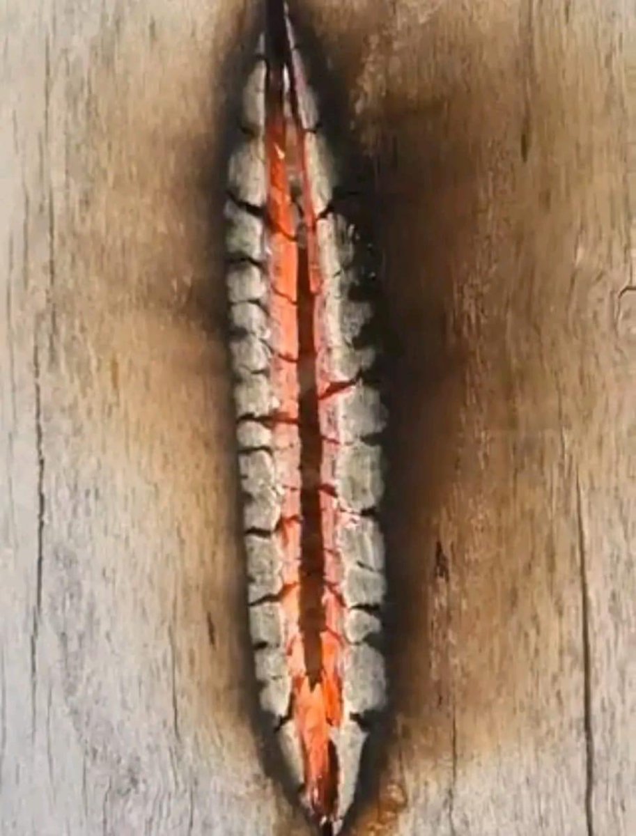 جاتی امرا کی تازہ صورتحال
#زمان_پارک_پہنچو 
<a href="/MaryamNSharif/">Maryam Nawaz Sharif</a>