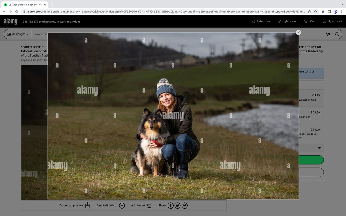 cdfimages's tweet photo. Sniffing out transparency, Ash Regan sends the dogs in over concern over leadership election rules, Scottish Borders, UK.

@AshReganSNP @theSNP @PeterMurrell @NicolaSturgeon @_KateForbes @HumzaYousaf #SNPLeadership 

@thetimesscot @mikewadejourno @KieranPAndrews @hzeffman https://t.co/PJ4AHcMOR5