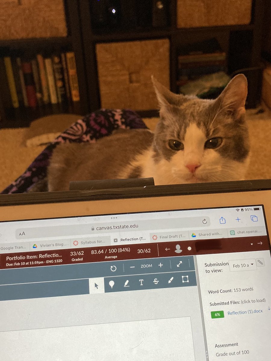 lilaeris_9's tweet image. Grading continues as Lily jumps on and off my lap. I finally got her curled up on my legs as I recline and grade! Now I can grade *and* cuddle! #CatsOfTwitter #amgrading