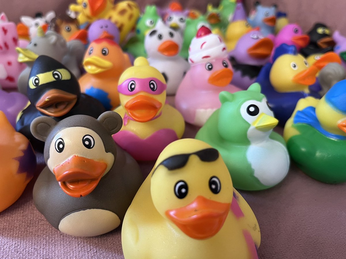 majofelix's tweet photo. I’m doing a thing for #GDC this year!

I want to meet all the #GameAudio people that are attending #GDC2023 so I’m starting #DucksOfGameAudio! Just look for me around the convention and I’ll give you a rubber duck 🐥 https://t.co/FbAReQdxZd