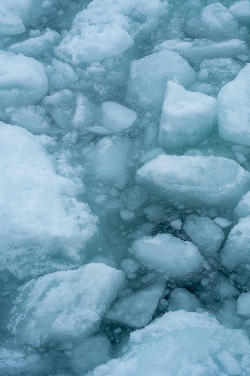 CapelinCreation's tweet photo. A very packed St. John's Harbour. 🧊

@CBCNL @CBCNews @a_brauweiler @oceanexplorer 
#IceBerg #explorenl #Stjohnsharbour #explorecanada https://t.co/tR0vfBQWnz