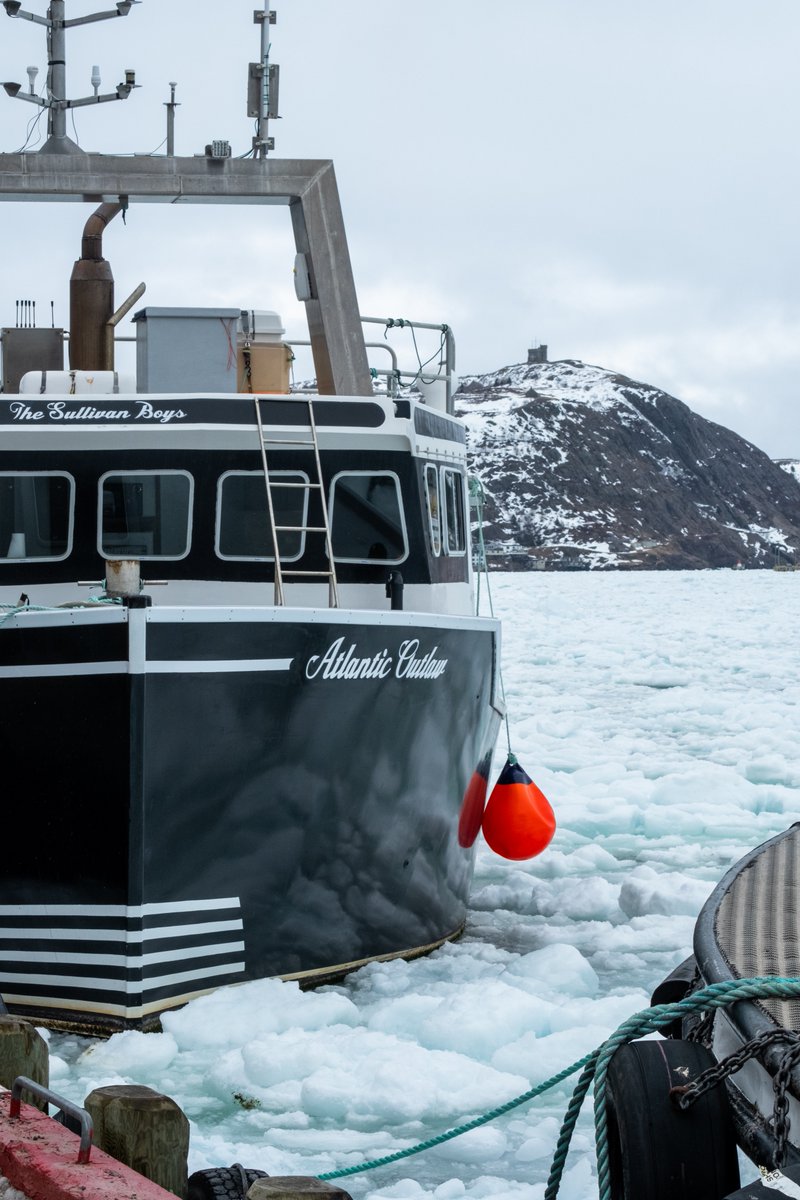 CapelinCreation's tweet photo. A very packed St. John's Harbour. 🧊

@CBCNL @CBCNews @a_brauweiler @oceanexplorer 
#IceBerg #explorenl #Stjohnsharbour #explorecanada https://t.co/tR0vfBQWnz