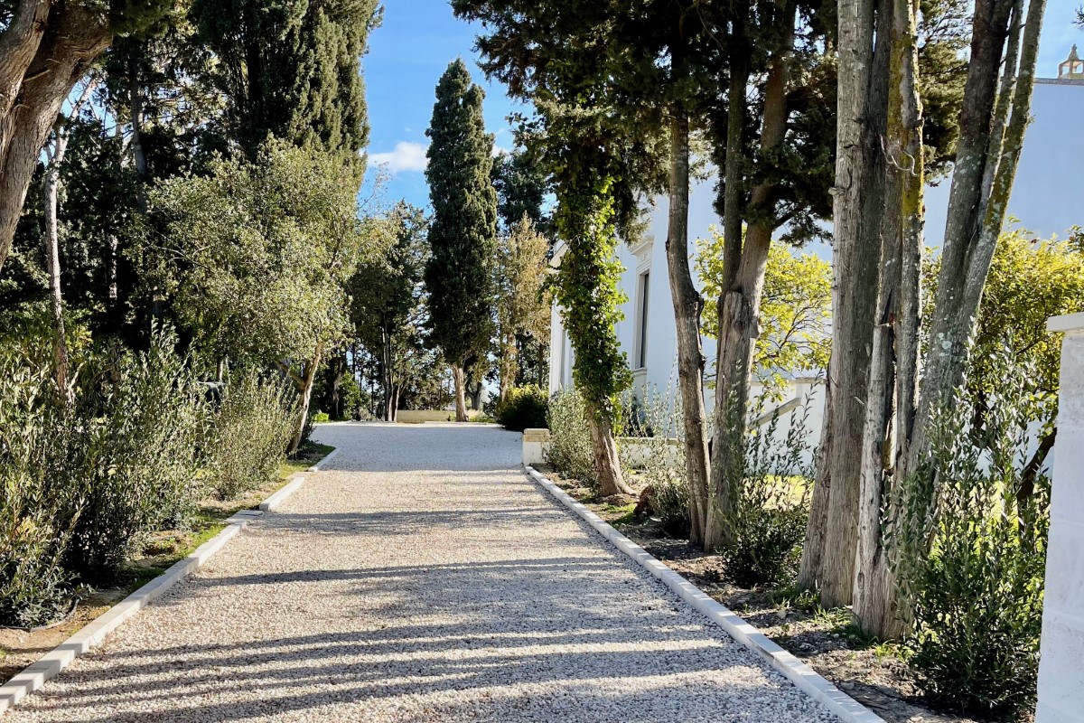 Essential Italy tweet media