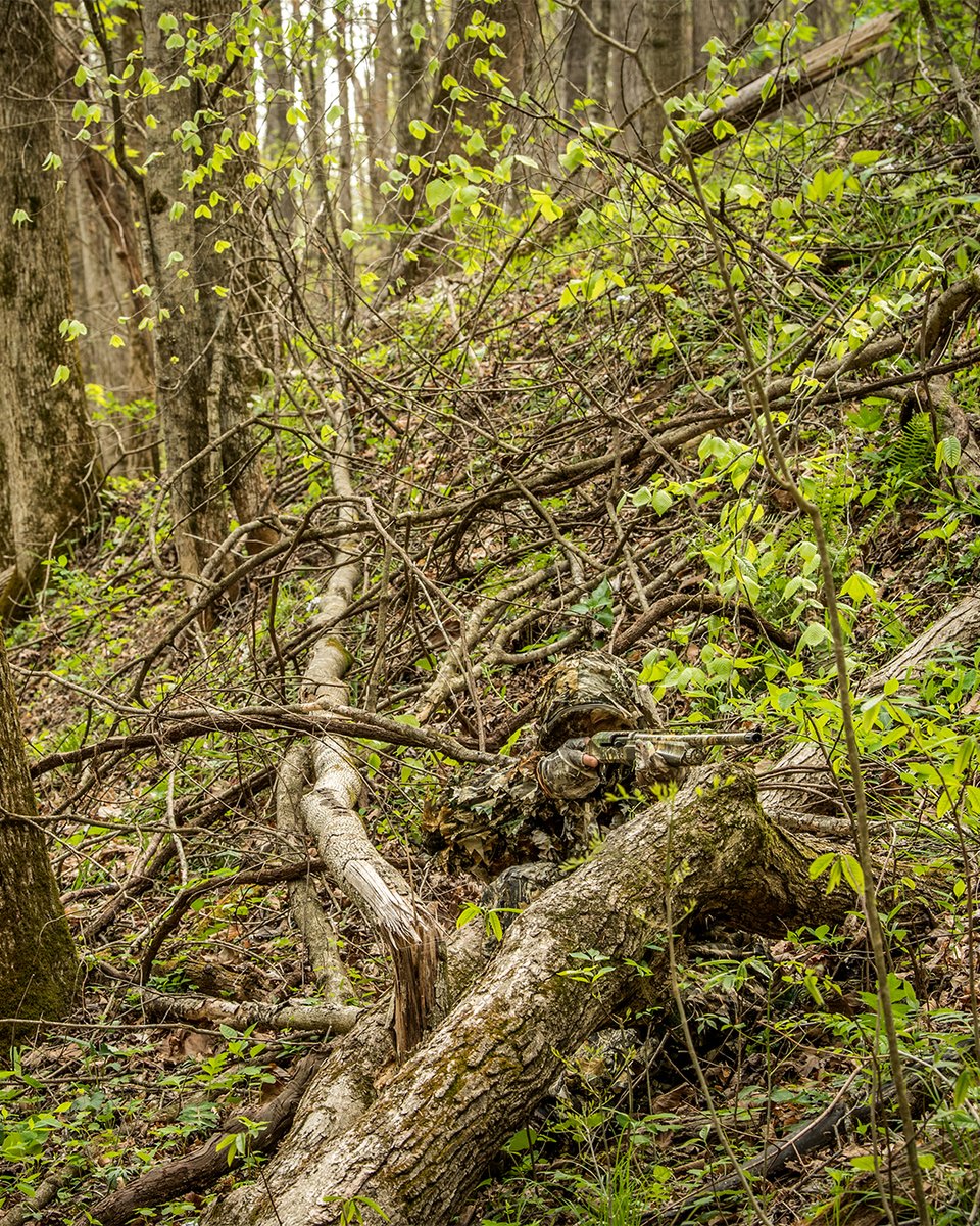Realtree's tweet photo. Regardless of where you hunt this spring. Look like where you hunt.
#Realtree #RealtreeEDGE https://t.co/VEj0LCIx16