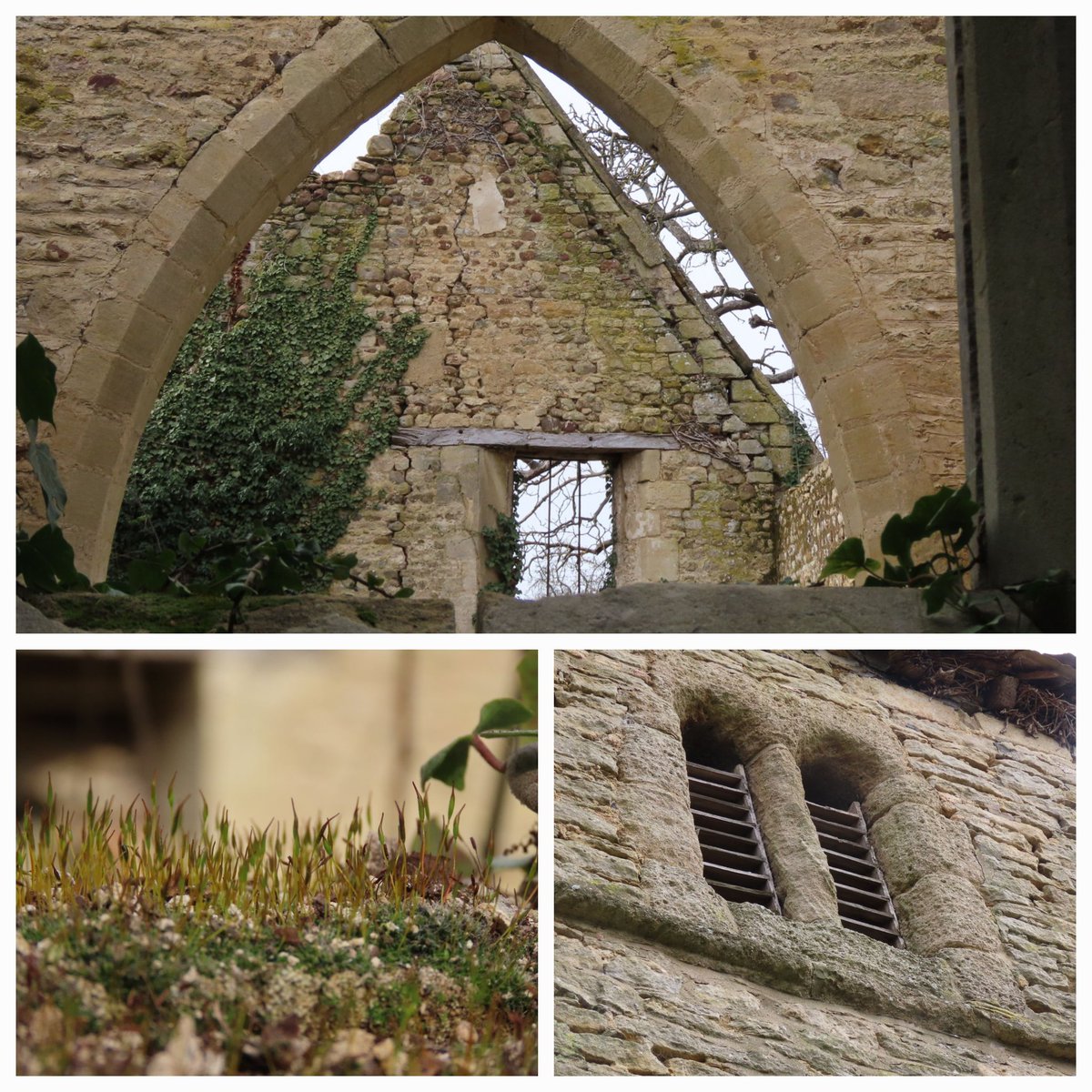 nicolaann851's tweet image. Walked from Stilton to Folksworth today #OScircularwalks. Packed with history: humps and bumps of the abandoned medieval village and castle of Washingley, atmospheric ruin of Denton church while kites wheeled above us @bitaboutbritain #springwalks