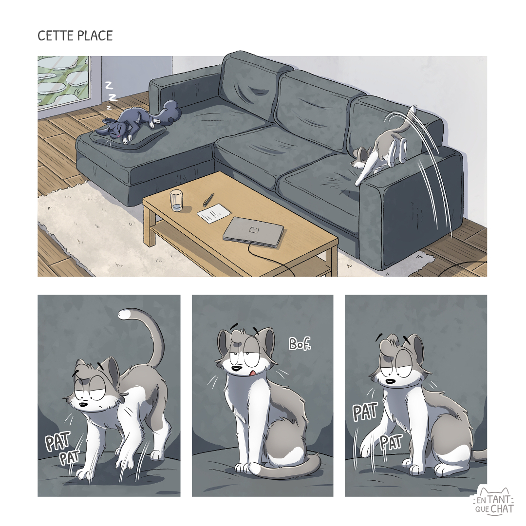 entantquechat's tweet photo. (1/2) Nouveau strip ! 😺 On est pas loin de la déclaration de guerre entre Peanuts et Pamprelune 😹 #bandedessinée #BD #blogbd #planchebd #stripbd #bdchat https://t.co/34WDEyP7ZS