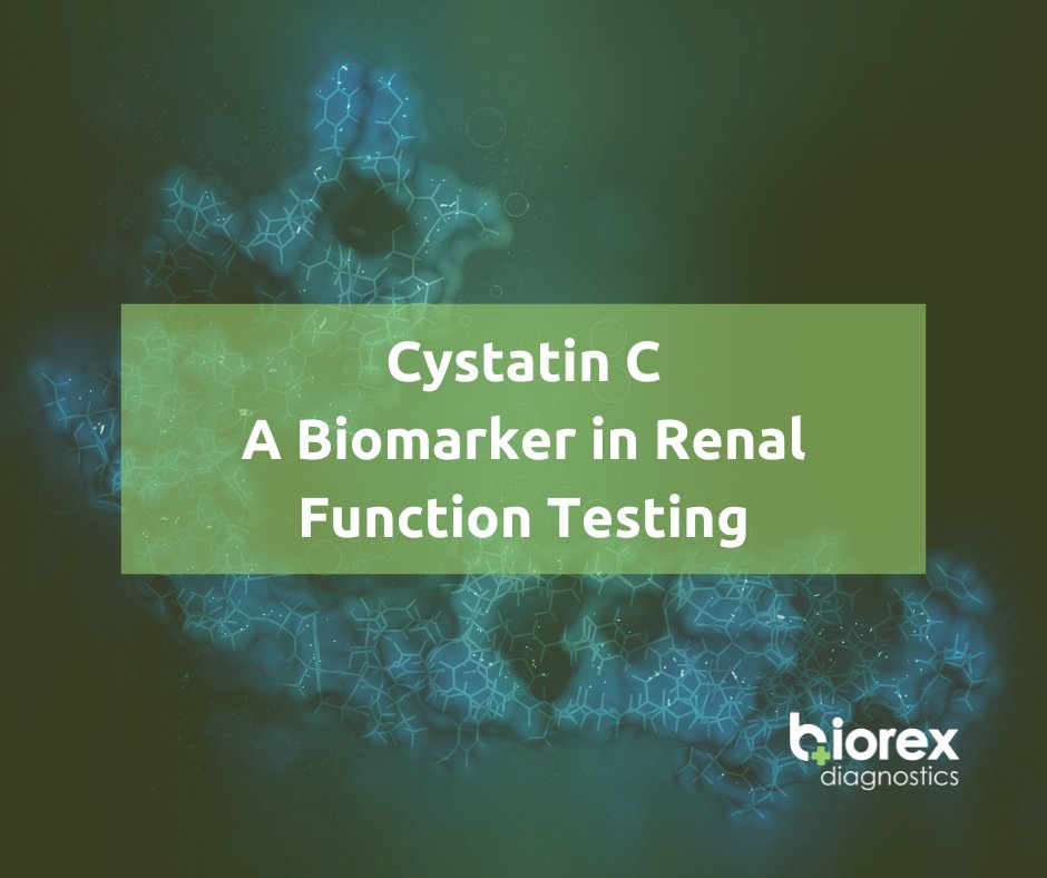 #CystatinC is an earlier and more accurate marker of #GFR in the diagnosis of #ChronicKidneyDisease and is less affected by patient characteristics such as age, gender and ethnicity compared to #creatinine.
Find out more: bit.ly/3KLDfxK
#CKD #RenalTesting