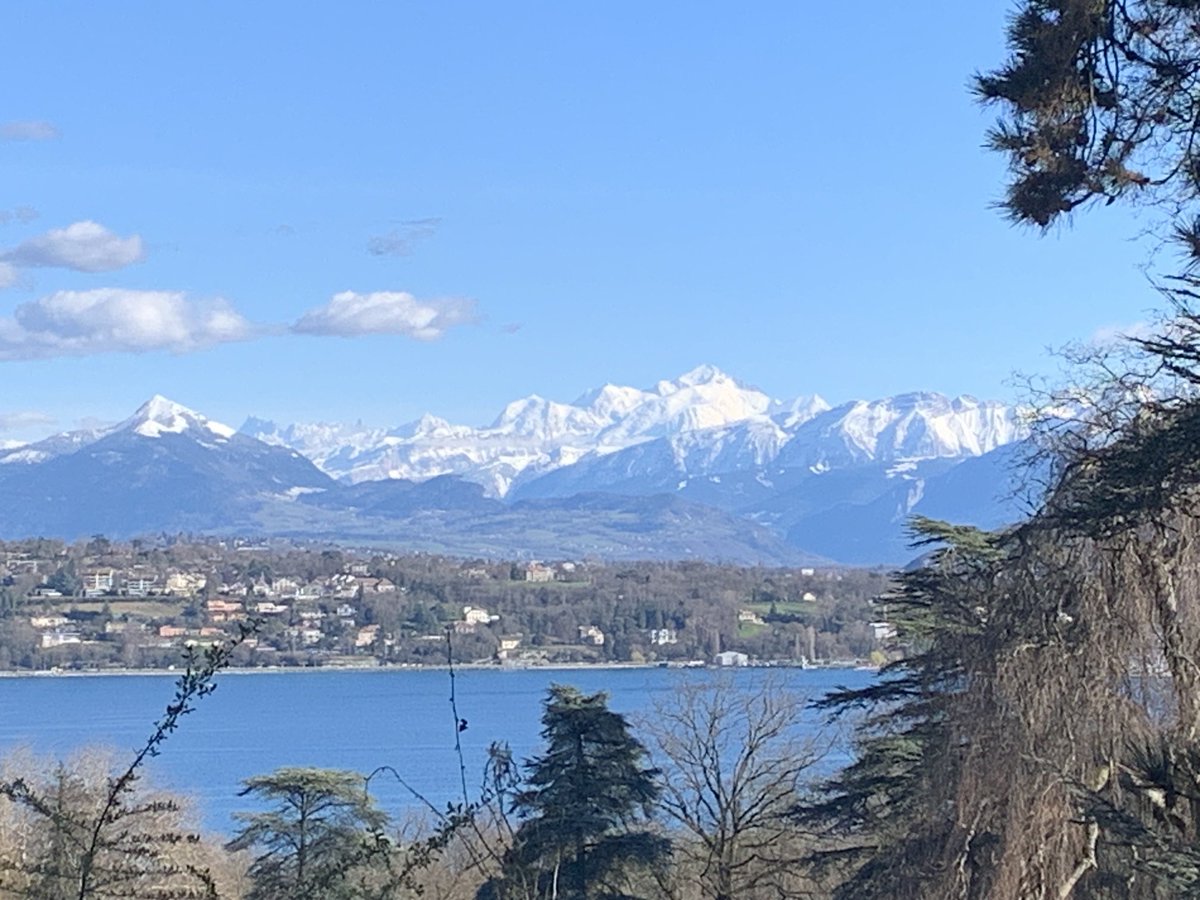 I never get tired of this view. #geneva Wonderful 2 days of strategic meeting @WHO with NPHIs representing GOARN ⁦@WHOGOARN⁩