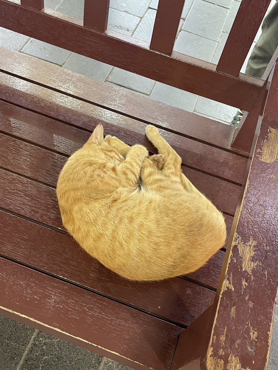 Most priceless item at the Dubai Gold Souk.