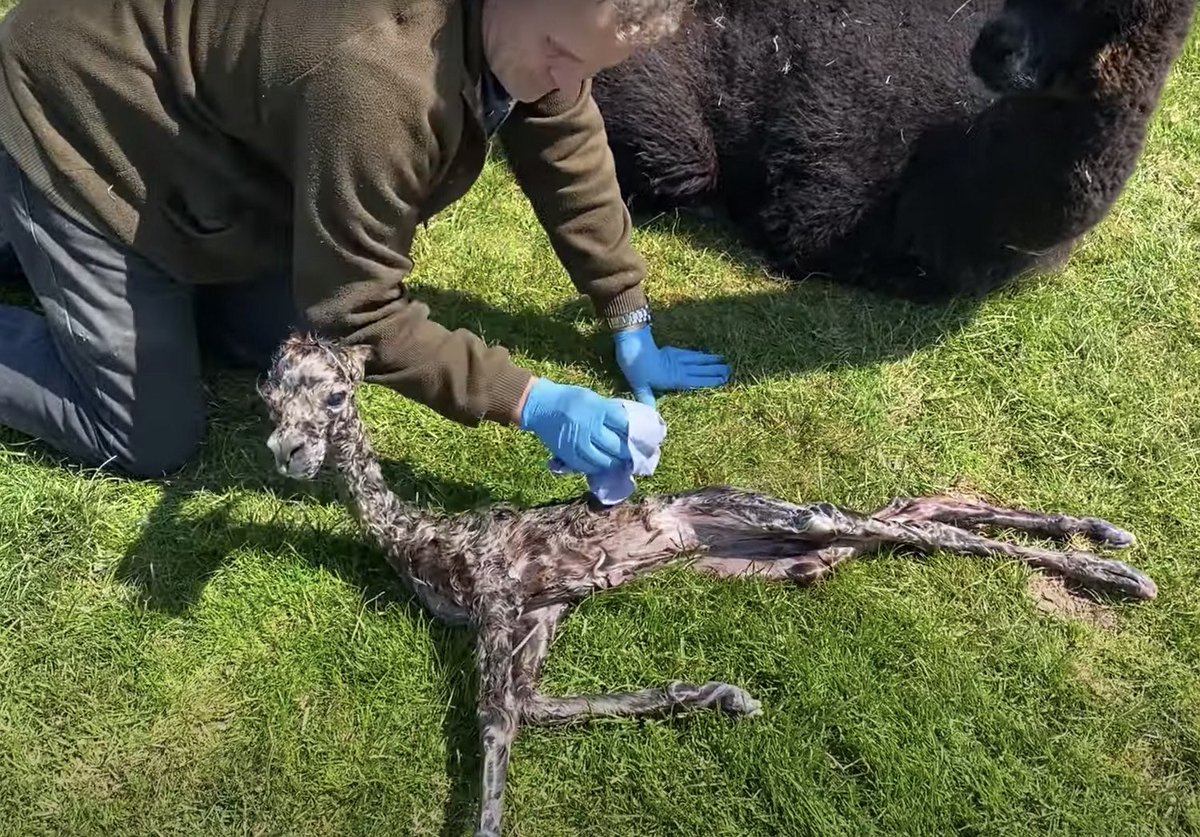 JUST FINISHED TRAINING WITH POISON GOT MY ASS BEAT