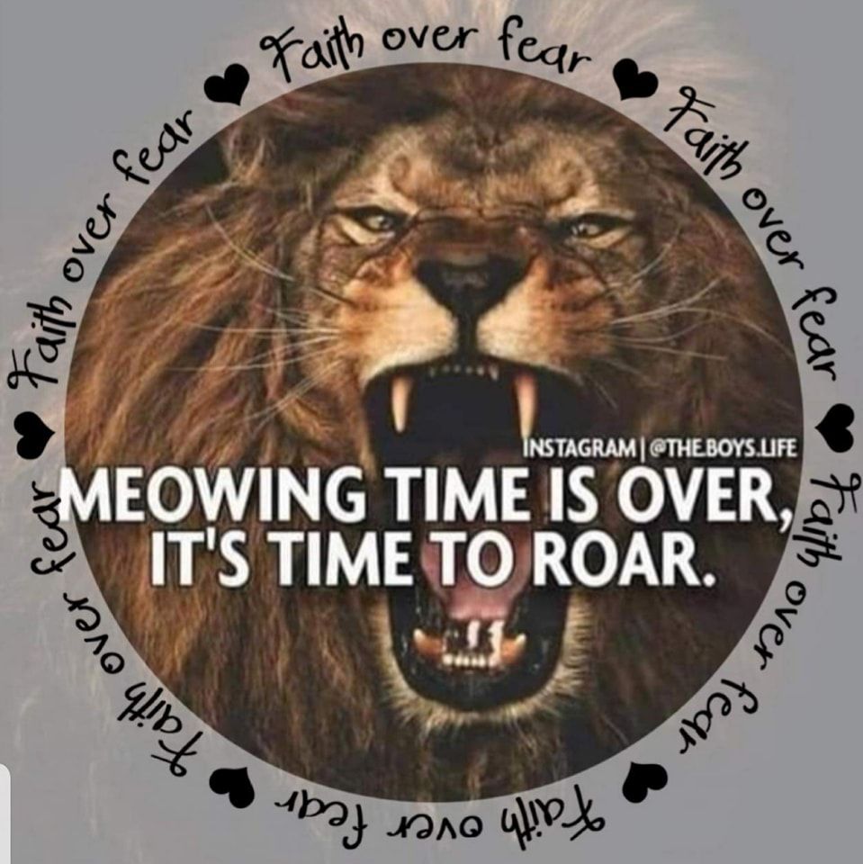 GloriaE82895335's tweet image. Good blessed morning Great American Patriots! WE NEED2KEEP THE PRESSURE ON BY SPEAKING OUT!DIGGING&amp;amp;EXPOSING BRUTAL TRUTH!Doing everything possible2BOOT OUT THE DEMONPOSSESSED PPL IN POLITICS+s IFBAP🇺🇸#MAGA#KAG2⃣0⃣2⃣4⃣PDJT'S🇺🇸#1SIMPLY OVERALL AFFORDABLE!!GLORIOUS+s🙏❤️‍🔥s ON FIRE🇺🇸