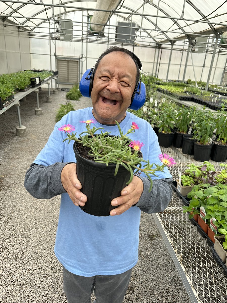 ANewLeafInc's tweet image. It's almost time to say goodbye to winter and hello to spring! Our clients are busy preparing perennials and annuals for our garden centers, and we can't wait to share what they've been working on. 

#springplants #shoplocalok #greencountry