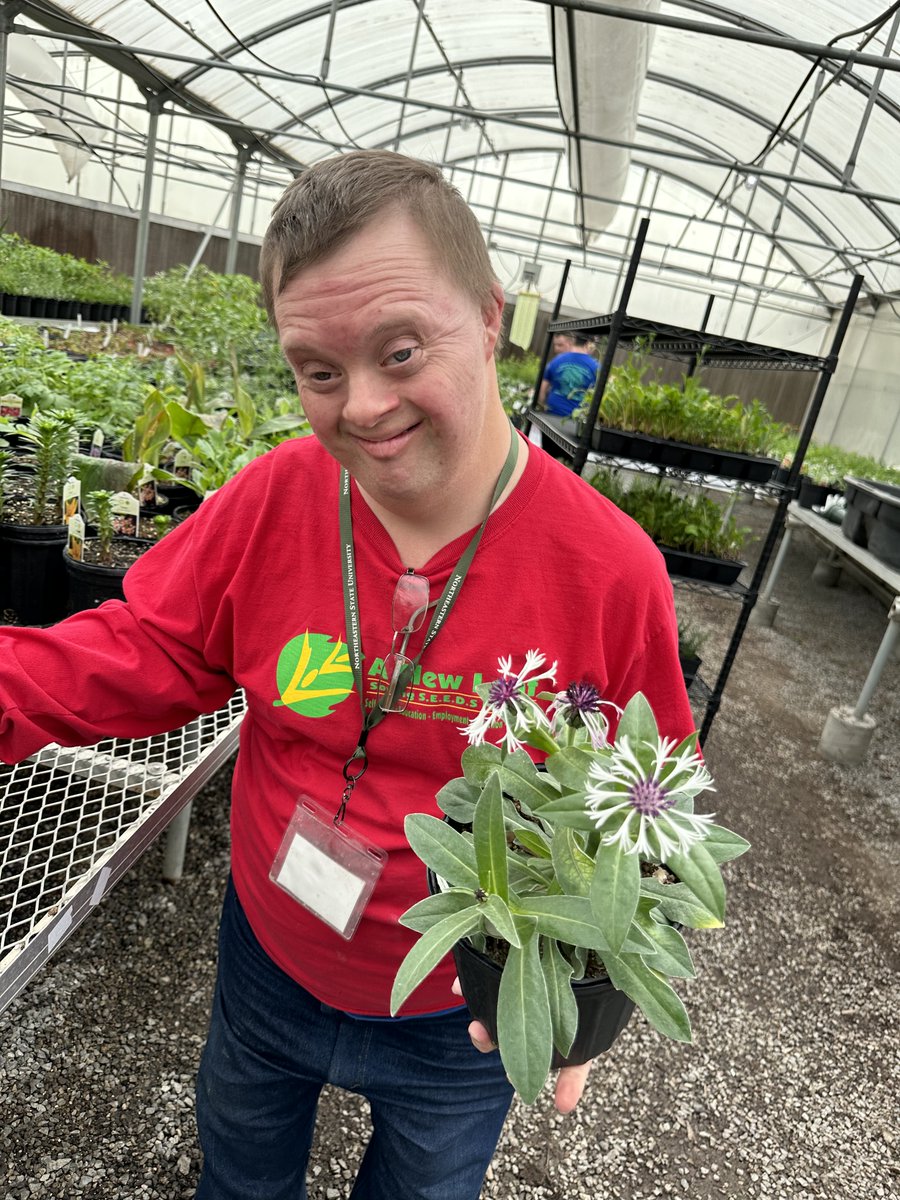 ANewLeafInc's tweet image. It's almost time to say goodbye to winter and hello to spring! Our clients are busy preparing perennials and annuals for our garden centers, and we can't wait to share what they've been working on. 

#springplants #shoplocalok #greencountry