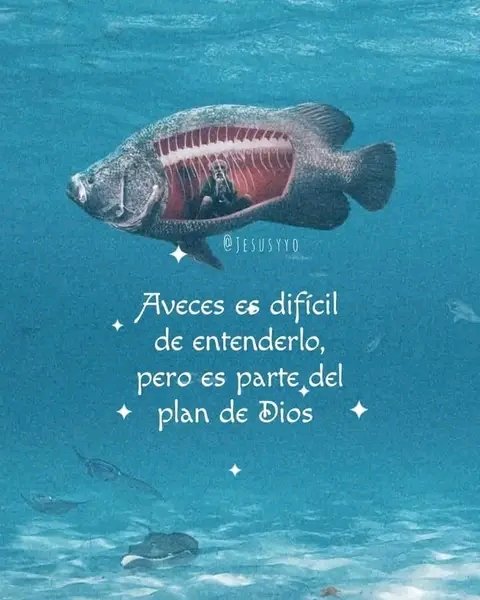ricura123456789's tweet photo. #15Mar| 🇻🇪 ⚾ ¡ETIQUETA DEL DÍA!  ▶️

#ChávezHechoMillones 

¡Por siempre! https://t.co/P9hQzBv2NF