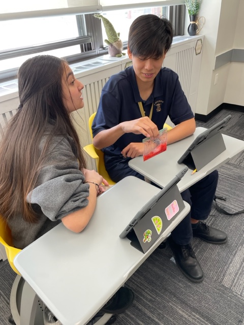 Cjurexhs's tweet photo. Today, in Life Science, students extracted DNA from different fruits and were able to see the "goop" that determines traits. #clippers https://t.co/gpwYRPPQxf